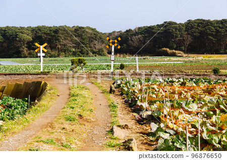 Class 4 railroad crossing without gates or alarms 96876650