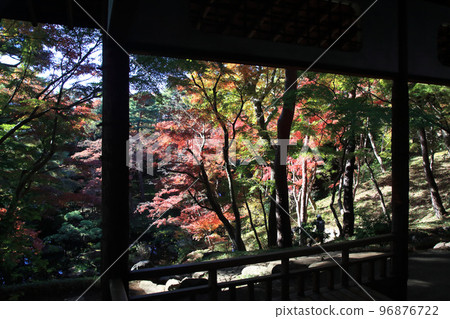 殿谷戶庭園的紅葉 96876722