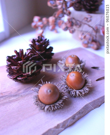 Pine cones and acorns Woody miscellaneous goods and dried flowers Pine cones and acorns Woody miscellaneous goods and dried flowers 96876815