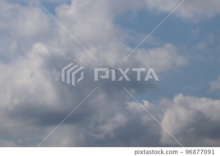 與雲彩和藍天和飛鳥的天空風景 96877091