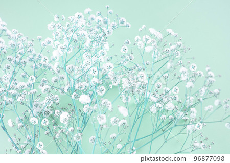 霧花束和復制空間 96877098