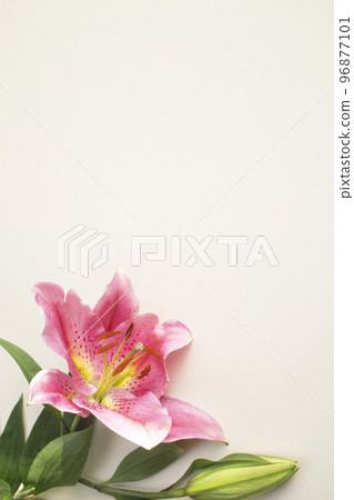 花束和復制空間 96877101