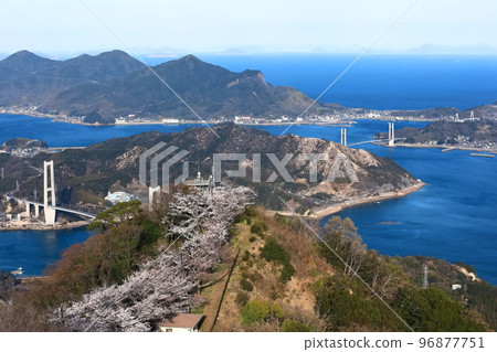 [Ehime Prefecture] Yumeshima Kaido and Sekizensan Three Thousand Cherry Trees (Iwaki Bridge, Ikina Bridge and Yuge Bridge) 96877751