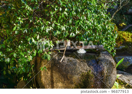 深秋的魚山大原寺、實光院築梅 深秋的魚山大原寺、實光院築梅 96877913