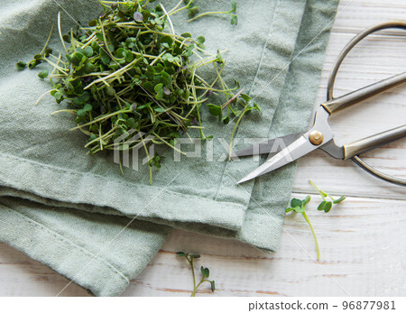 Fresh organic micro green on table 96877981