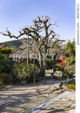Uoyama Ohara-ji Temple in late autumn, Jikko-in Temple Former Rikaku-in Garden Uoyama Ohara-ji Temple in late autumn, Jikko-in Temple Former Rikaku-in Garden 96878011