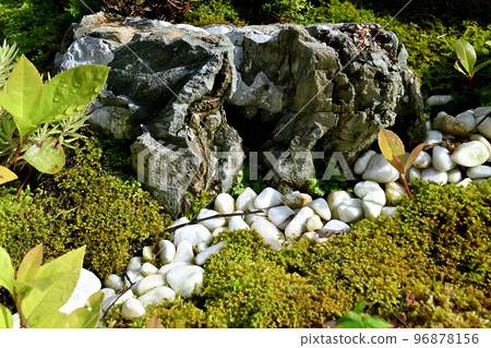 Bonsai moss and wildflowers Bonsai moss and wildflowers 96878156