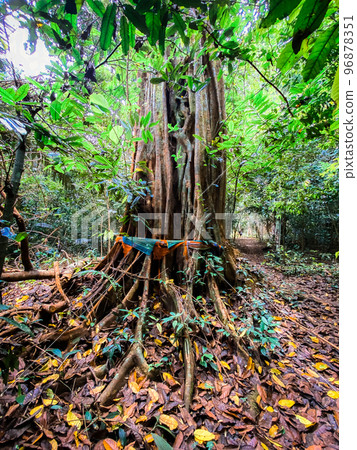 Aerial view of Wat Tham Suea or Tiger Cave Temple in Krabi, Thailand 96878351