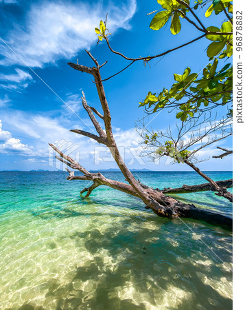Beach view and long tail boat in Koh Kradan island in Trang, Thailand Beach view and long tail boat in Koh Kradan island in Trang, Thailand 96878882