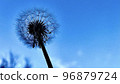 Fluff in the blue world 96879724