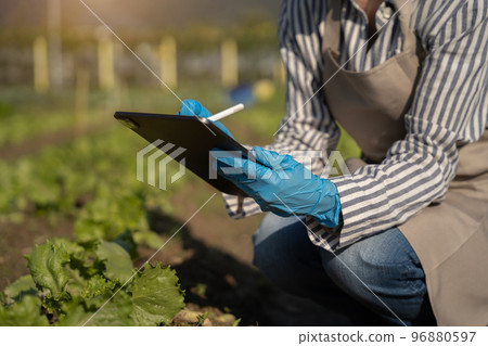 Farmers use the main information network in the internet from their tablets to monitor, test and select new crop methods for farmers. 96880597