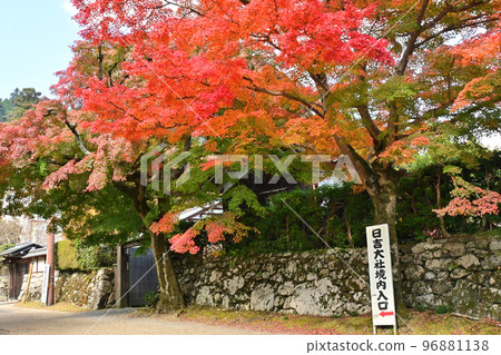 滋賀縣大津市坂本地區的紅葉 滋賀縣大津市坂本地區的紅葉 96881138