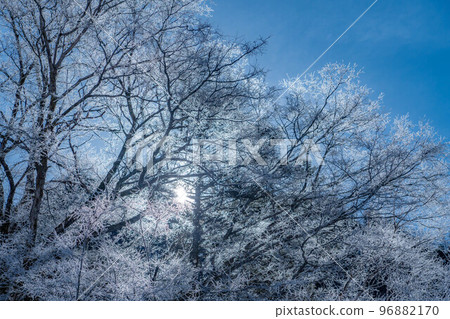 [Rare material] Winter Kamikochi hoarfrost [Nagano Prefecture] 96882170