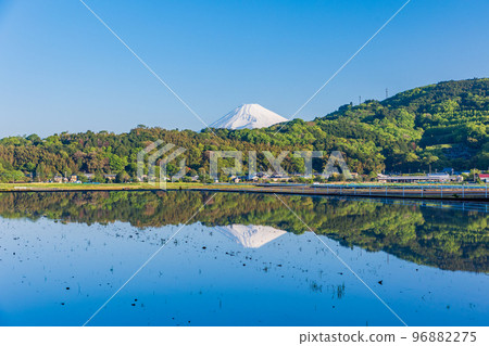 (Shizuoka Prefecture) Tanna Basin with water in the rice paddies Mt. Fuji in the background (Shizuoka Prefecture) Tanna Basin with water in the rice paddies Mt. Fuji in the background 96882275