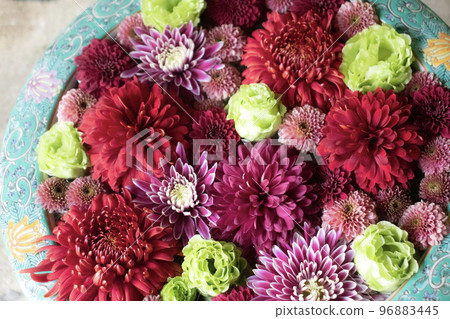 紅色植物花手水 96883445