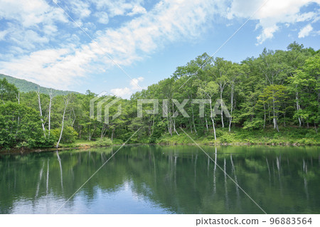 Shimizugaike reflecting the greenery of early summer Shimizugaike reflecting the greenery of early summer 96883564