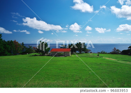 At the southern tip of Shionomisaki, you can see the ocean breeze and the Pacific Ocean from the lawn of the watchtower 96883953