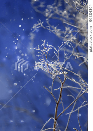 Diamond dust morning 96884304