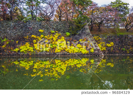 《Aichi Prefecture》Nagoya City Autumn Leaves Nagoya Castle Moat Reflection 96884329