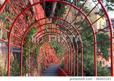 autumn landscape at a garden in Lake Como, Italy  96885261