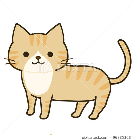 一隻簡單的棕色虎斑貓站立 一隻簡單的棕色虎斑貓站立 96885368