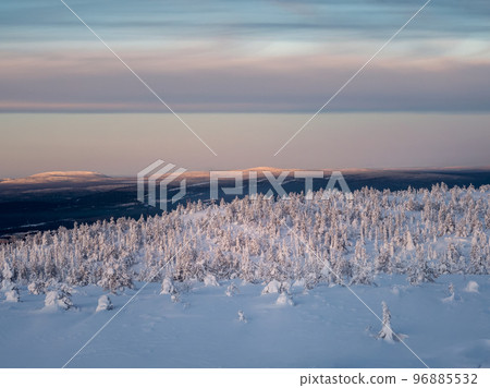 Snowy winter background. Beautiful frosty winter morning in a polar wood plastered with snow. Arctic harsh nature. Sunrise over the polar hill. 96885532
