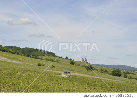 德國艾賓根風景區,葡萄園(葡萄園)星羅棋布,遠處可看到聖希爾德加德修道院。 德國艾賓根風景區,葡萄園(葡萄園)星羅棋布,遠處可看到聖希爾德加德修道院。 96885533