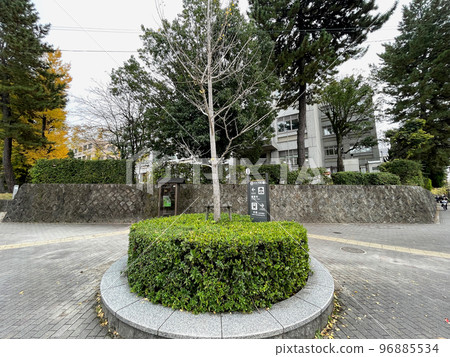 京都百萬便今出川通和東大路通到京都大學 96885534