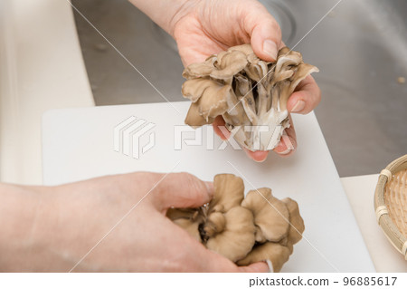 [A middle-aged housewife splits a maitake] 96885617