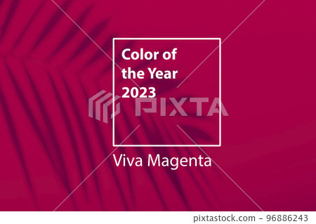 Color of the year 2023 background. Magenta new trend color on red purple background with shadow palm. Color of the year 2023 background. Magenta new trend color on red purple background with shadow palm. 96886243