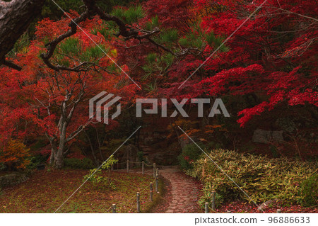 Autumn scenery of Kudara-ji Temple in Shiga Autumn scenery of Kudara-ji Temple in Shiga 96886633