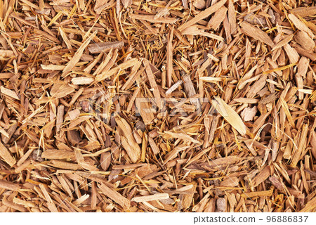 Catuaba bark background. Trichilia catigua bark. Chuchuhuasha, Tatuaba, Pau de Reposta, Piratancara and Caramuru. Top view. Catuaba bark background. Trichilia catigua bark. Chuchuhuasha, Tatuaba, Pau de Reposta, Piratancara and Caramuru. Top view. 96886837