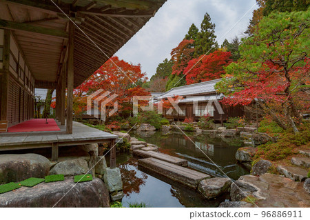 Shiga Kudara Temple Autumn scenery of Honbo garden Shiga Kudara Temple Autumn scenery of Honbo garden 96886911