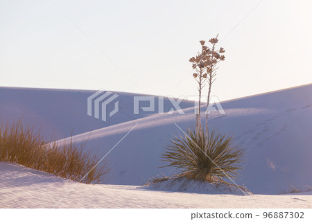 White sand dunes White sand dunes 96887302