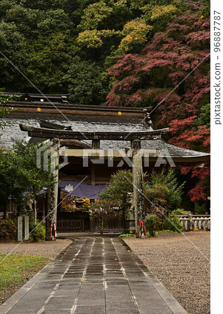 光座神社的秋葉 光座神社的秋葉 96887787
