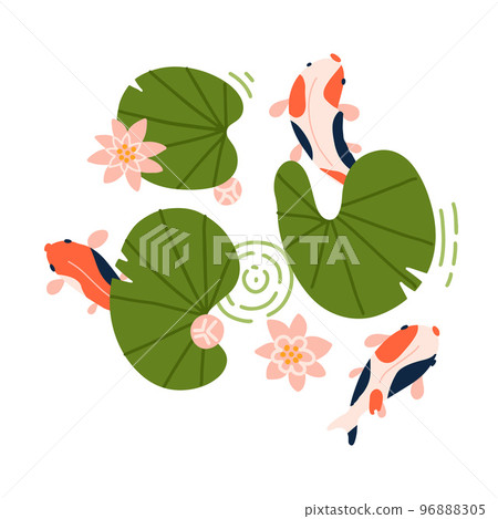 Tree koi fishes with red and orange stripes are swimming under Lotus and lilypad leaves. Vector illustration isolated on white background. Tree koi fishes with red and orange stripes are swimming under Lotus and lilypad leaves. Vector illustration isolated on white background. 96888305
