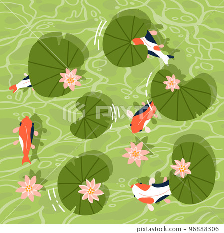 Top view of a Koi fishes or Asian carp swimming in a waterlily pond. Vector flat hand drawn illustration Top view of a Koi fishes or Asian carp swimming in a waterlily pond. Vector flat hand drawn illustration 96888306