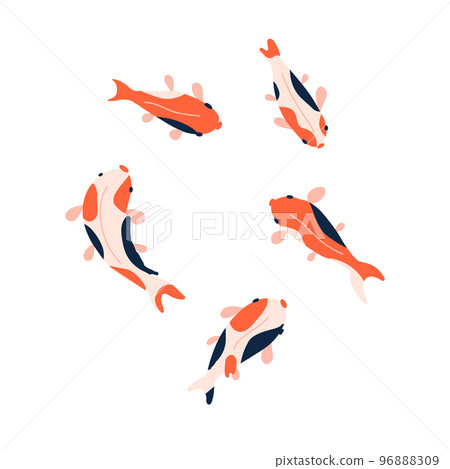 Koi fish set isolated on a white background. Top view. Vector flat hand drawn illustration. 96888309