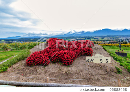 上富良野花(9 月,北海道) 上富良野花(9 月,北海道) 96888468