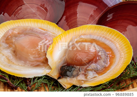 Opened raw mussel 96889885