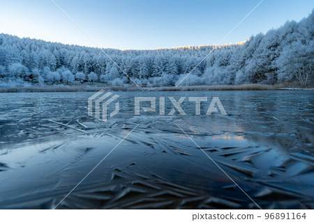 [Material of hoarfrost] Hijiri Kogen hoarfrost [Nagano Prefecture] 96891164
