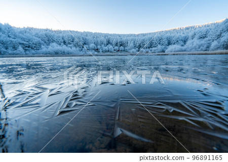 [Material of hoarfrost] Hijiri Kogen hoarfrost [Nagano Prefecture] 96891165