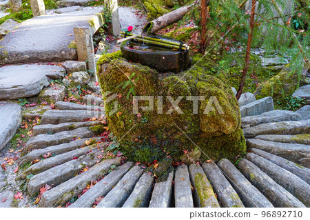 深秋的京都大原寶泉院“方樂園”築梅 深秋的京都大原寶泉院“方樂園”築梅 96892710
