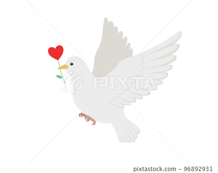 心花和白鴿 96892931