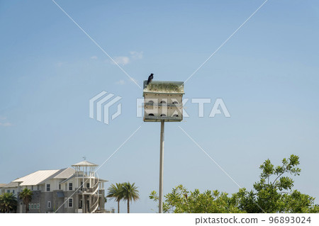 Black bird on top of a birdhouse pole at Destin, Florida Black bird on top of a birdhouse pole at Destin, Florida 96893024
