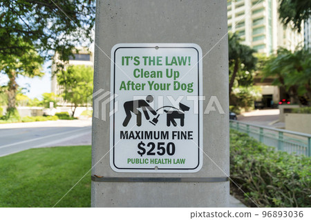 Sign on a concrete post outside with Clean Up After Your Dog Maximum Fine 250 at Miami, Florida 96893036