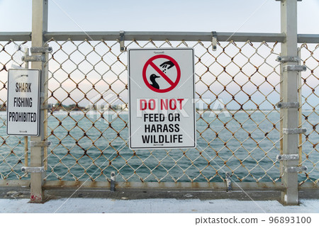 Signs with Shark Fishing Prohibited left and Do Not Feed or Harass Wildlife right Signs with Shark Fishing Prohibited left and Do Not Feed or Harass Wildlife right 96893100