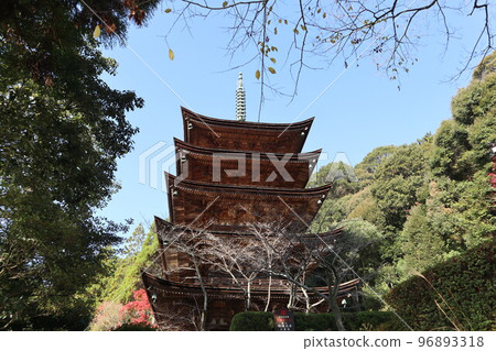 Autumn leaves season at Yamaguchi Rurikoji Temple 96893318