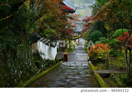 Autumn leaves of Joshoji Temple 96894152