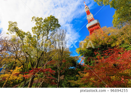 從芝公園的紅葉谷看東京的秋葉 96894255